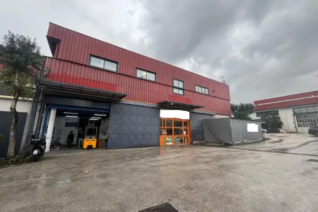 insertion image