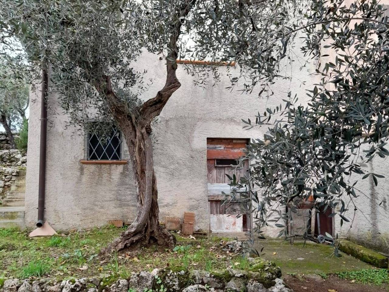 immagine annuncio 6 di 7