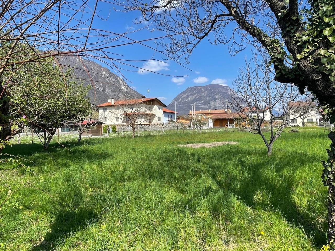 immagine annuncio 8 di 9