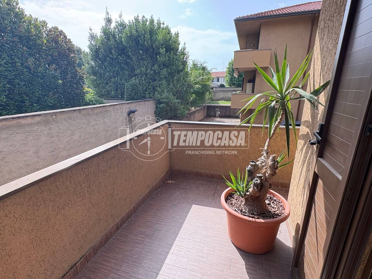 immagine annuncio 3 di 14