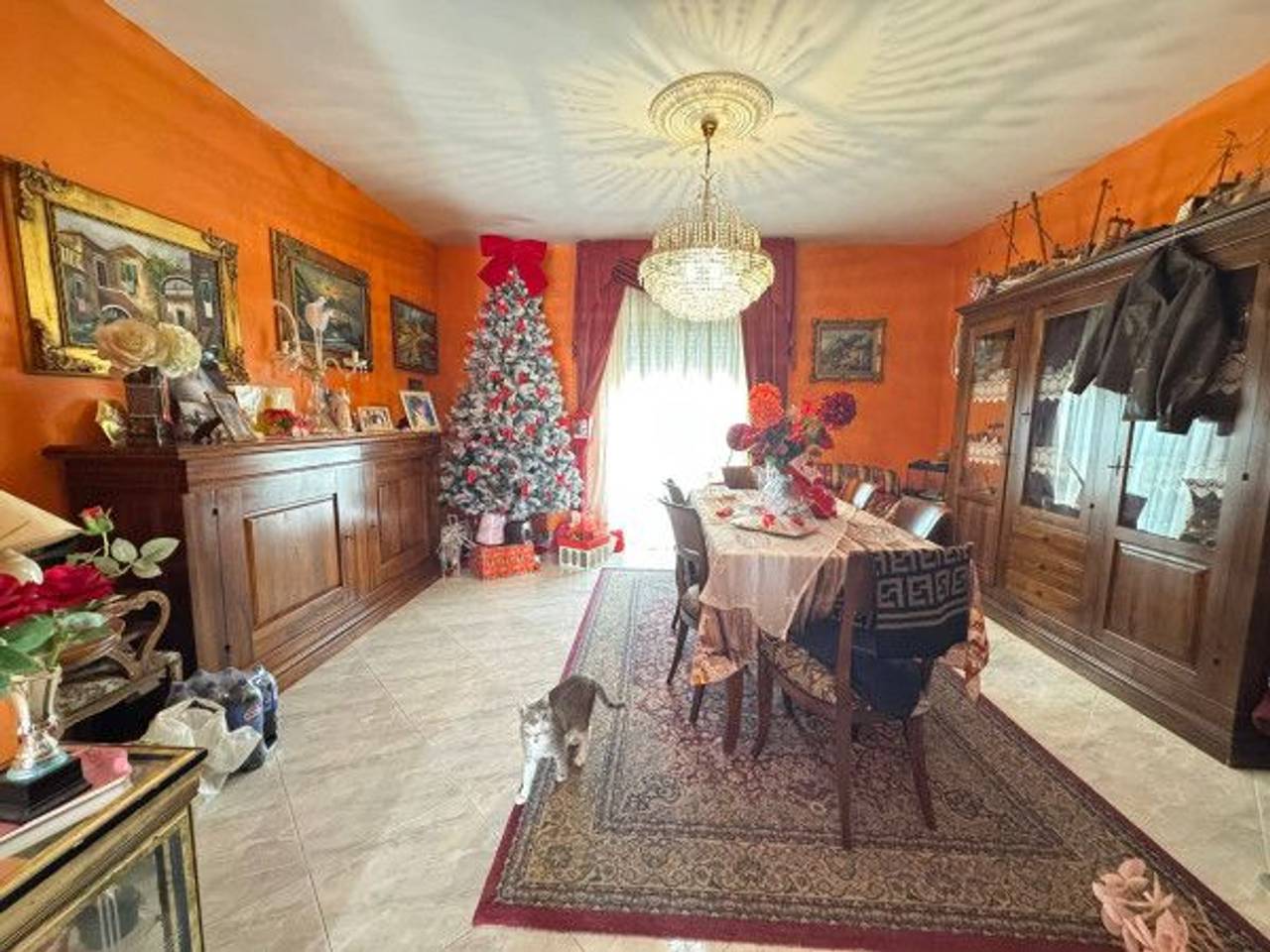 immagine annuncio 1 di 13