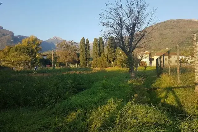 Terreno agricolo, Camaiore - Foto 1