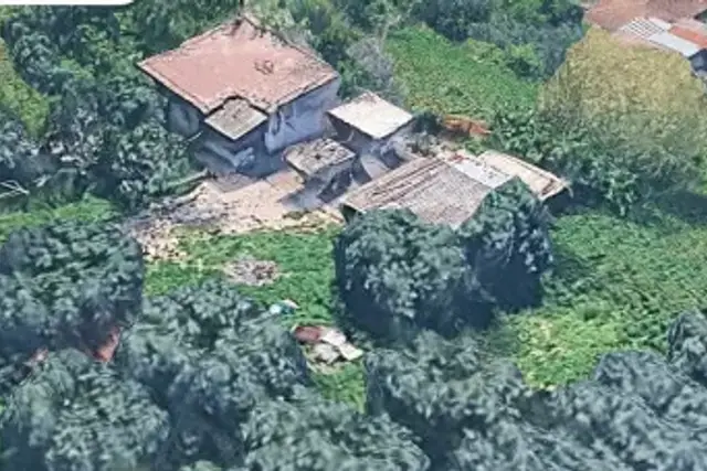 insertion image