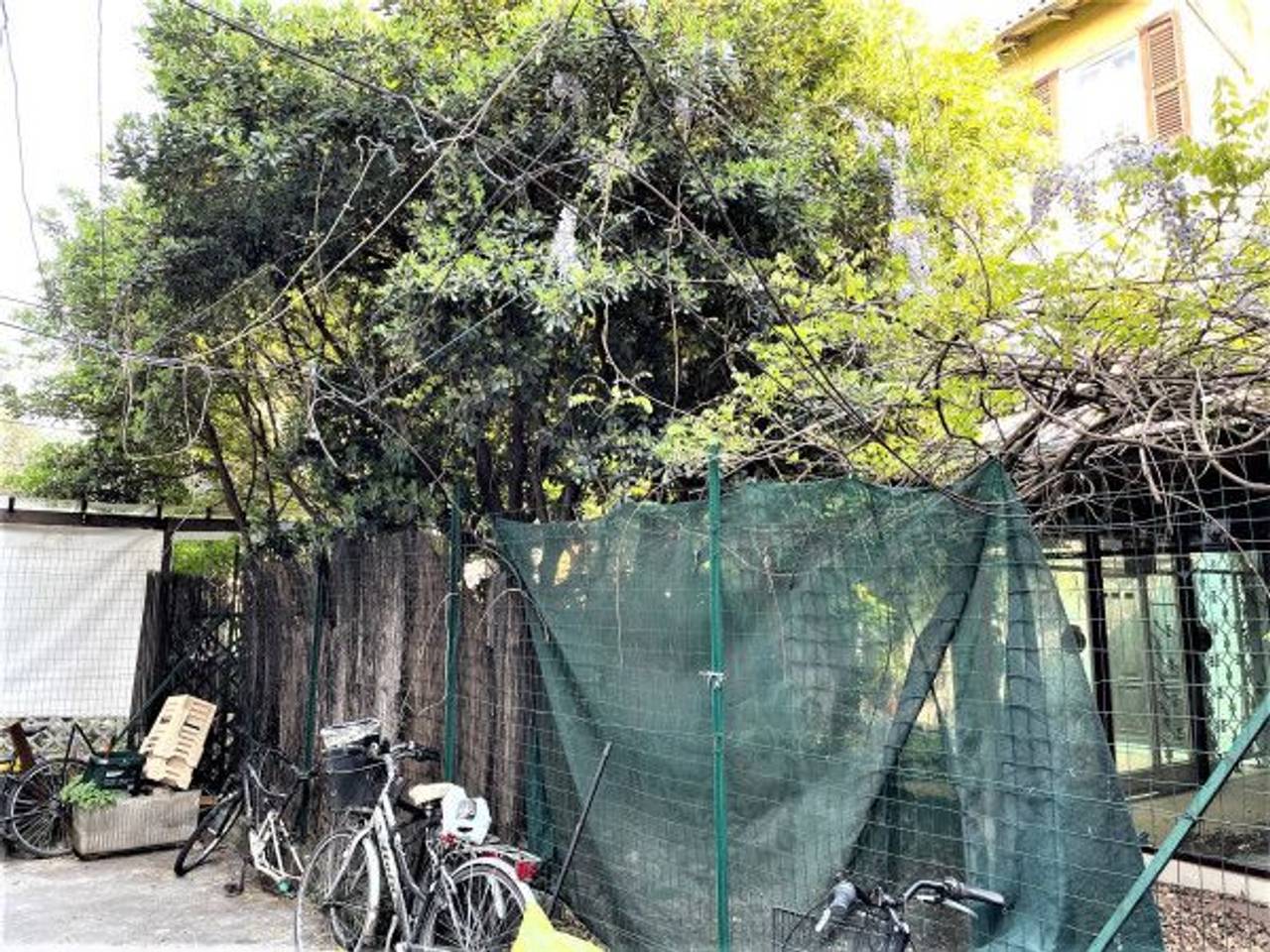 immagine annuncio 12 di 14