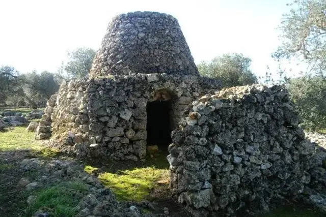 Terreno agricolo, Salve - Foto 1