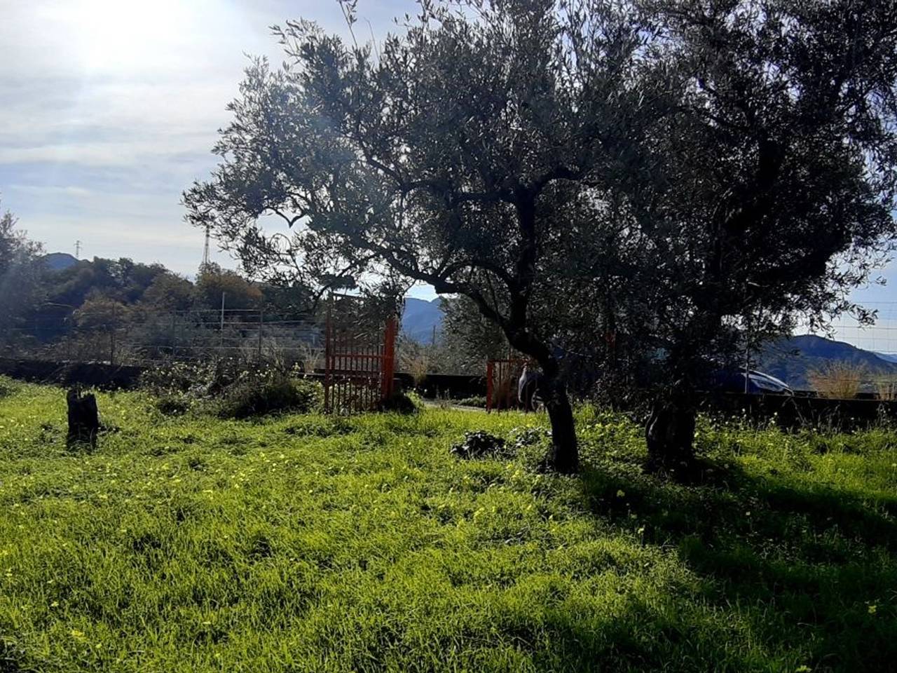 immagine annuncio 3 di 8