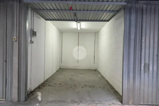 insertion image