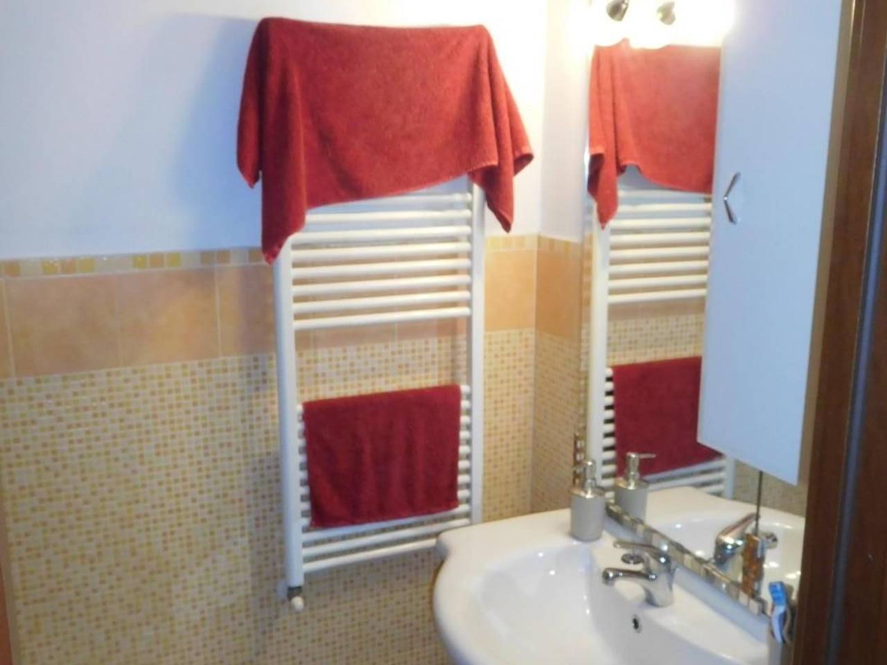 immagine annuncio 12 di 13