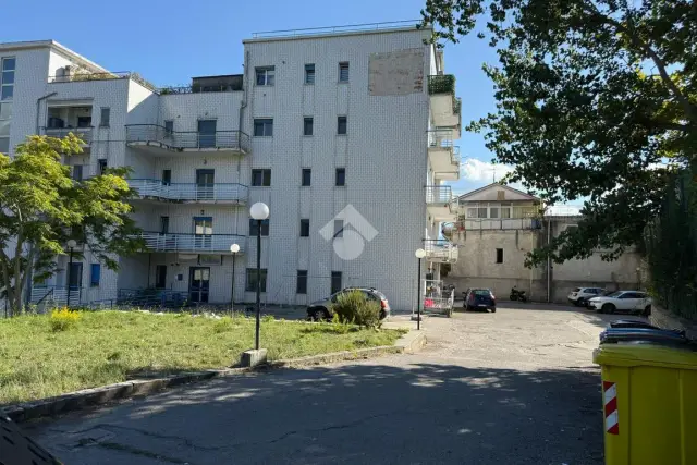insertion image