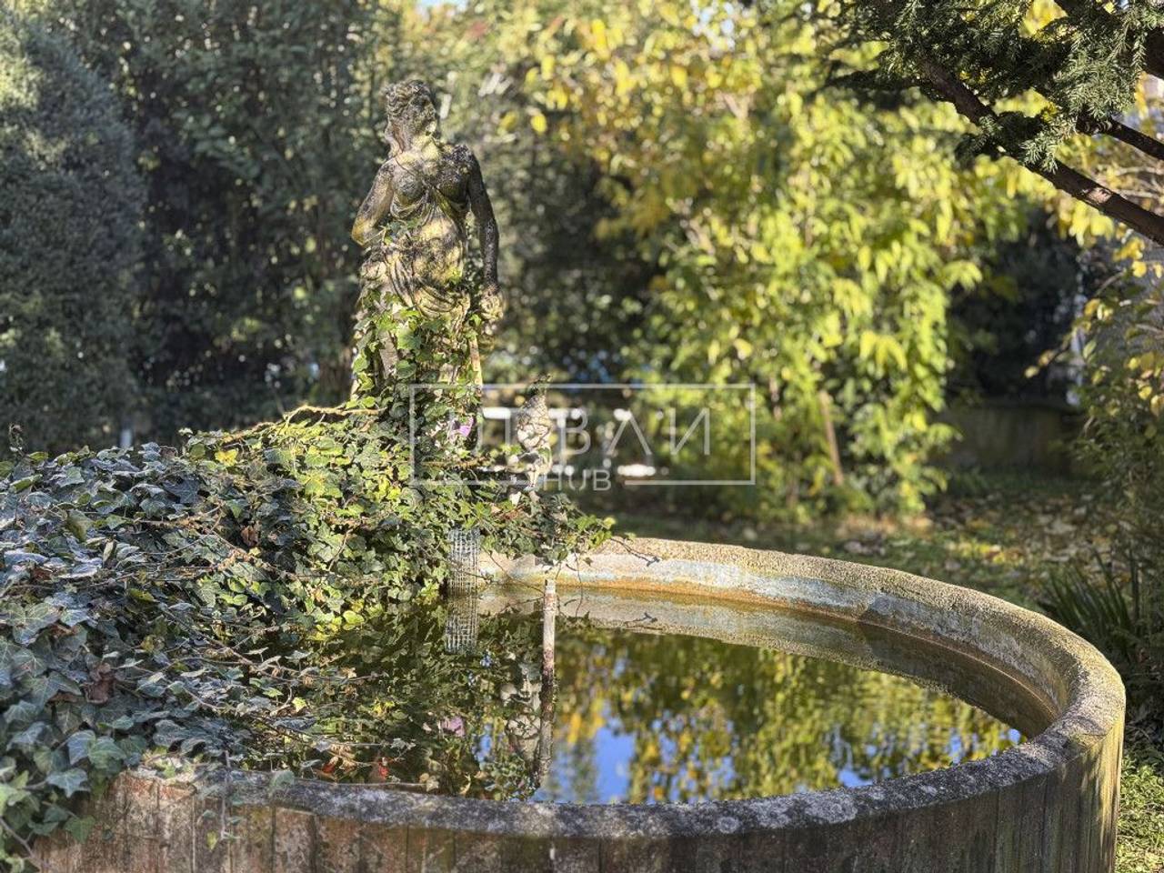 immagine annuncio 13 di 14