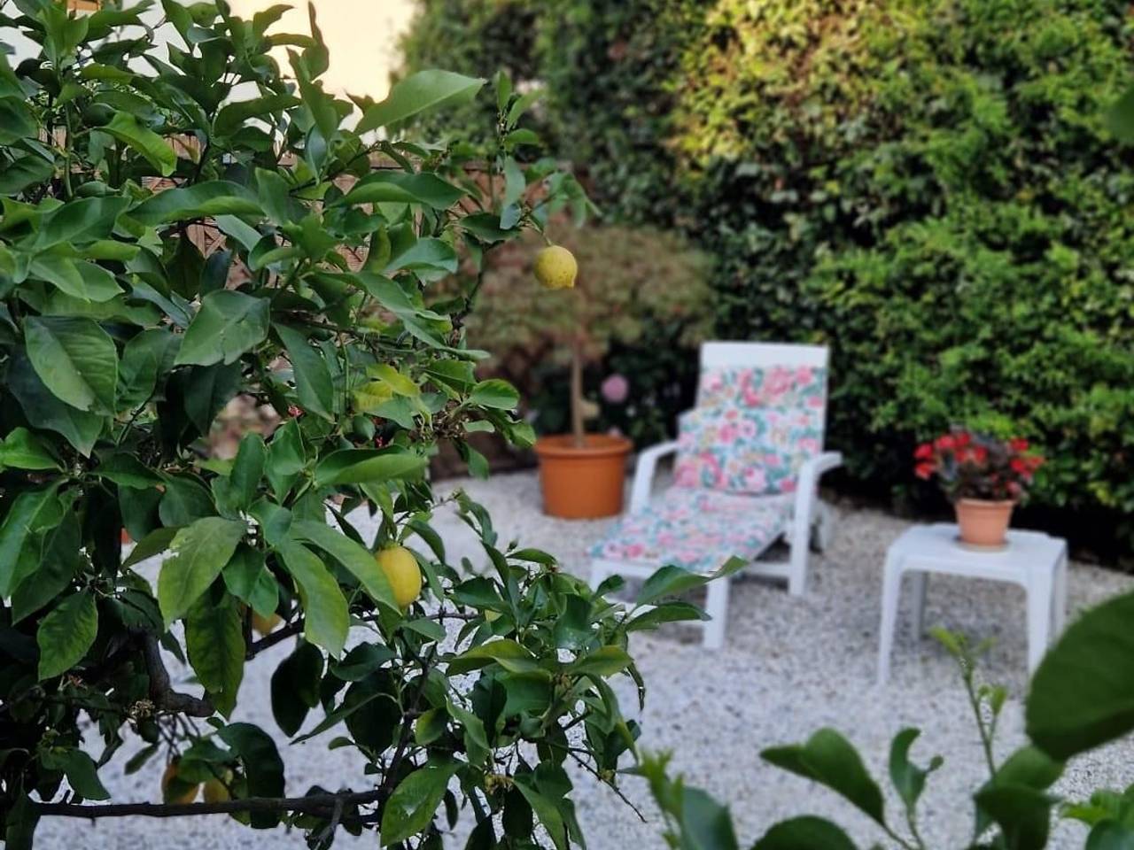 immagine annuncio 1 di 13