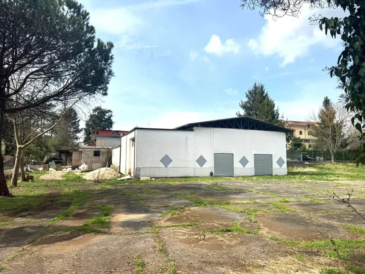 Palazzina commerciale in Via Guglielmo Milana, Olevano Romano, {3} - Foto 1