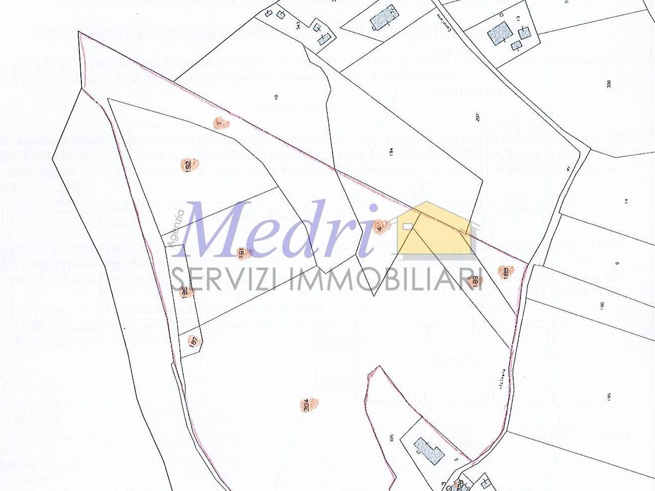 immagine annuncio 1 di 2