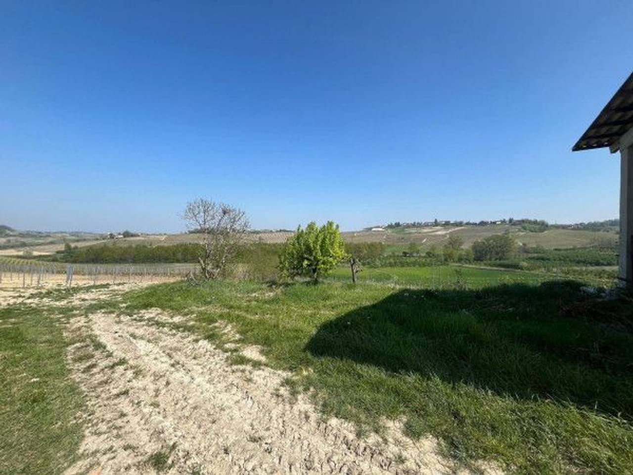 immagine annuncio 6 di 9