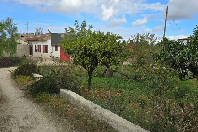 Detached house, Conversano - Photo 1