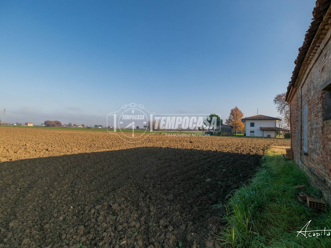 immagine annuncio 9 di 12