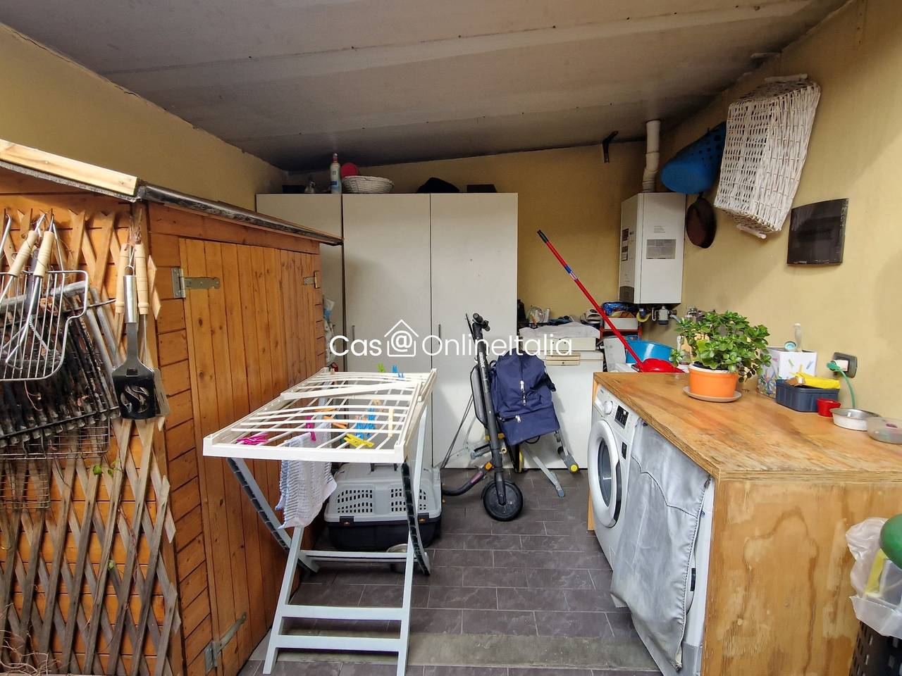 immagine annuncio 10 di 15