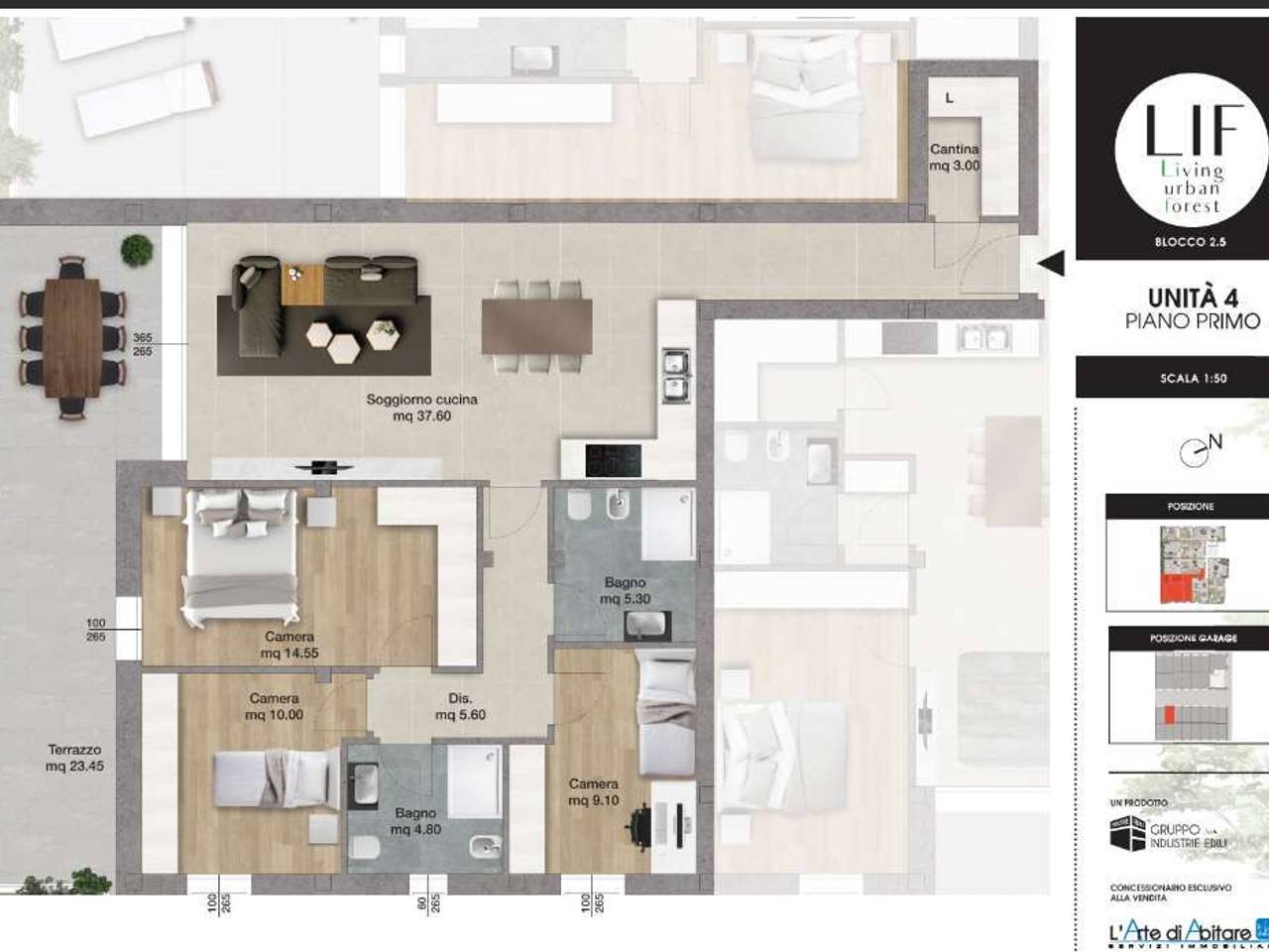 immagine annuncio 1 di 15