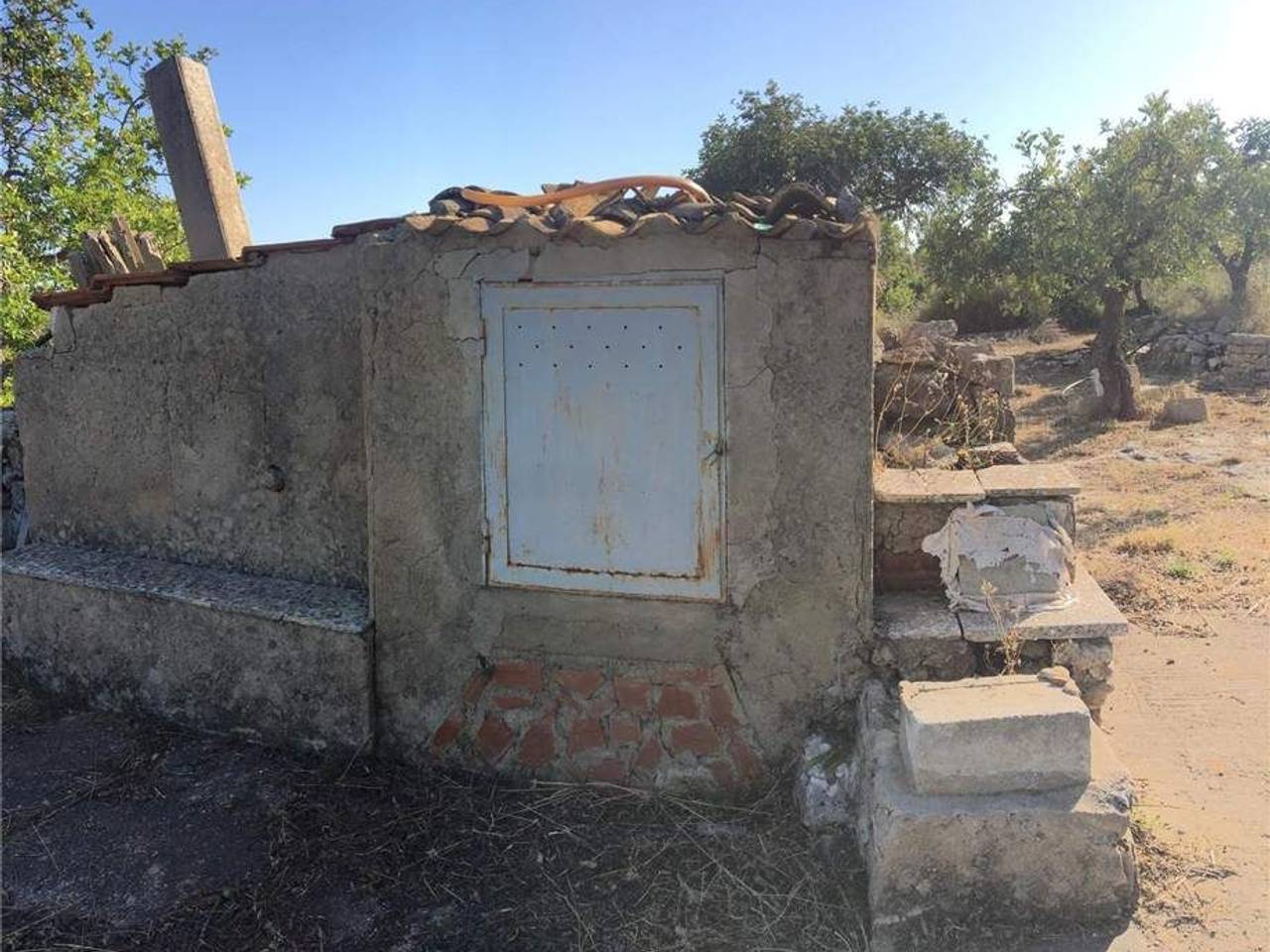 immagine annuncio 10 di 11
