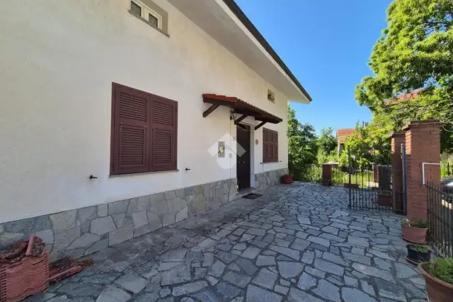 insertion image
