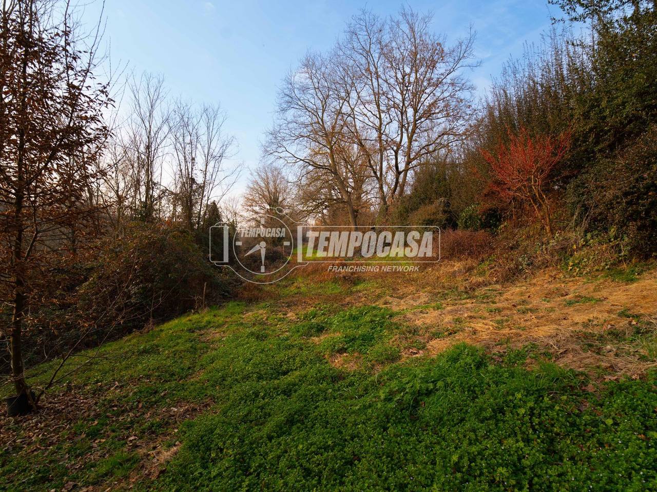 immagine annuncio 9 di 11