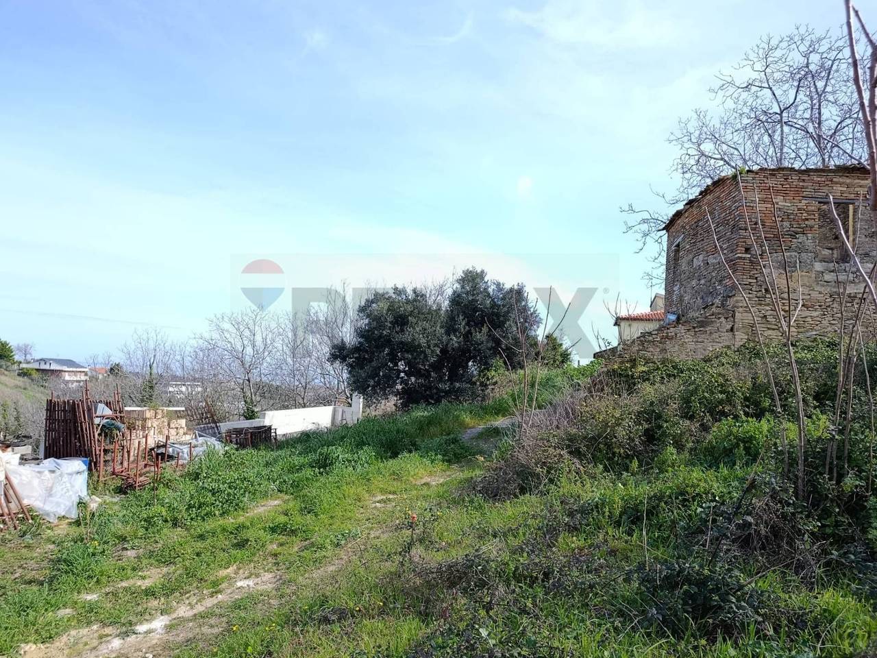 immagine annuncio 4 di 8