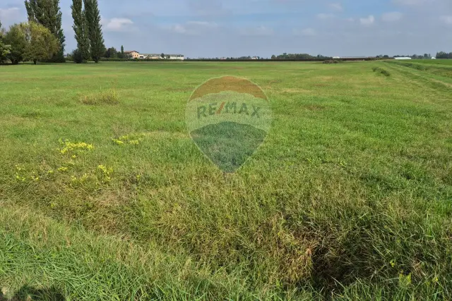 Terreno agricolo in Via Gobellino, Reggio nell'Emilia - Foto 1