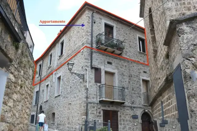 insertion image