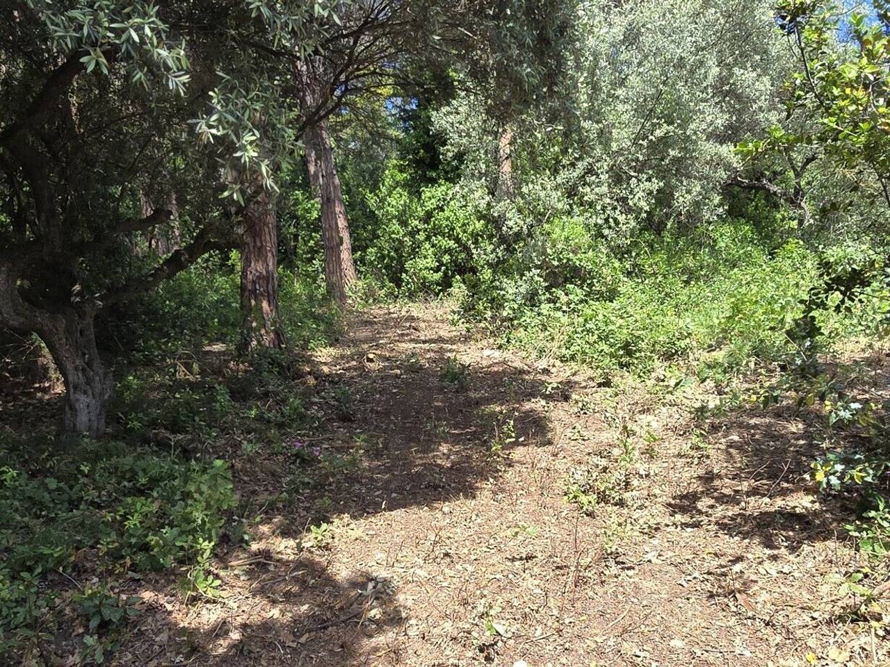 immagine annuncio 11 di 14