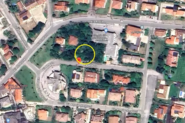insertion image