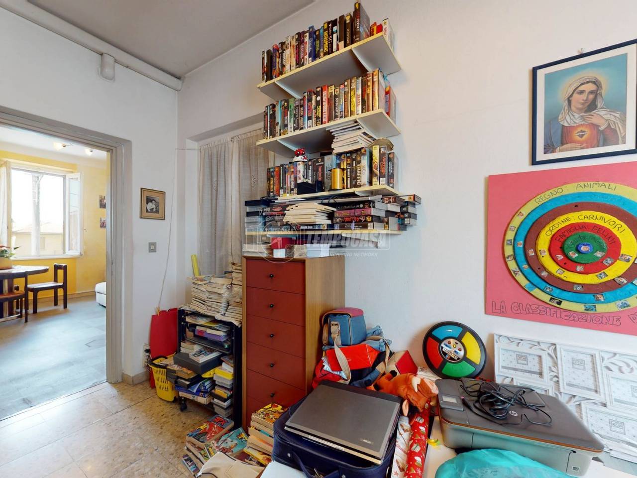 immagine annuncio 12 di 15