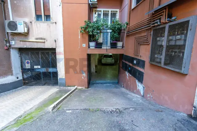insertion image