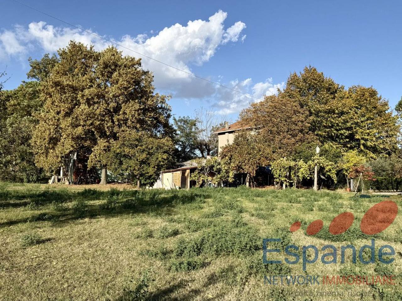 immagine annuncio 8 di 12