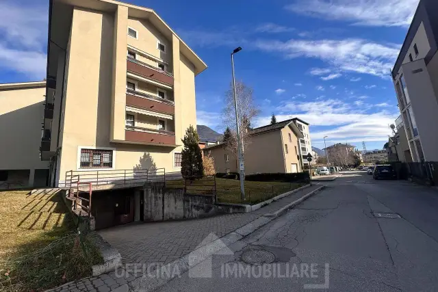 insertion image