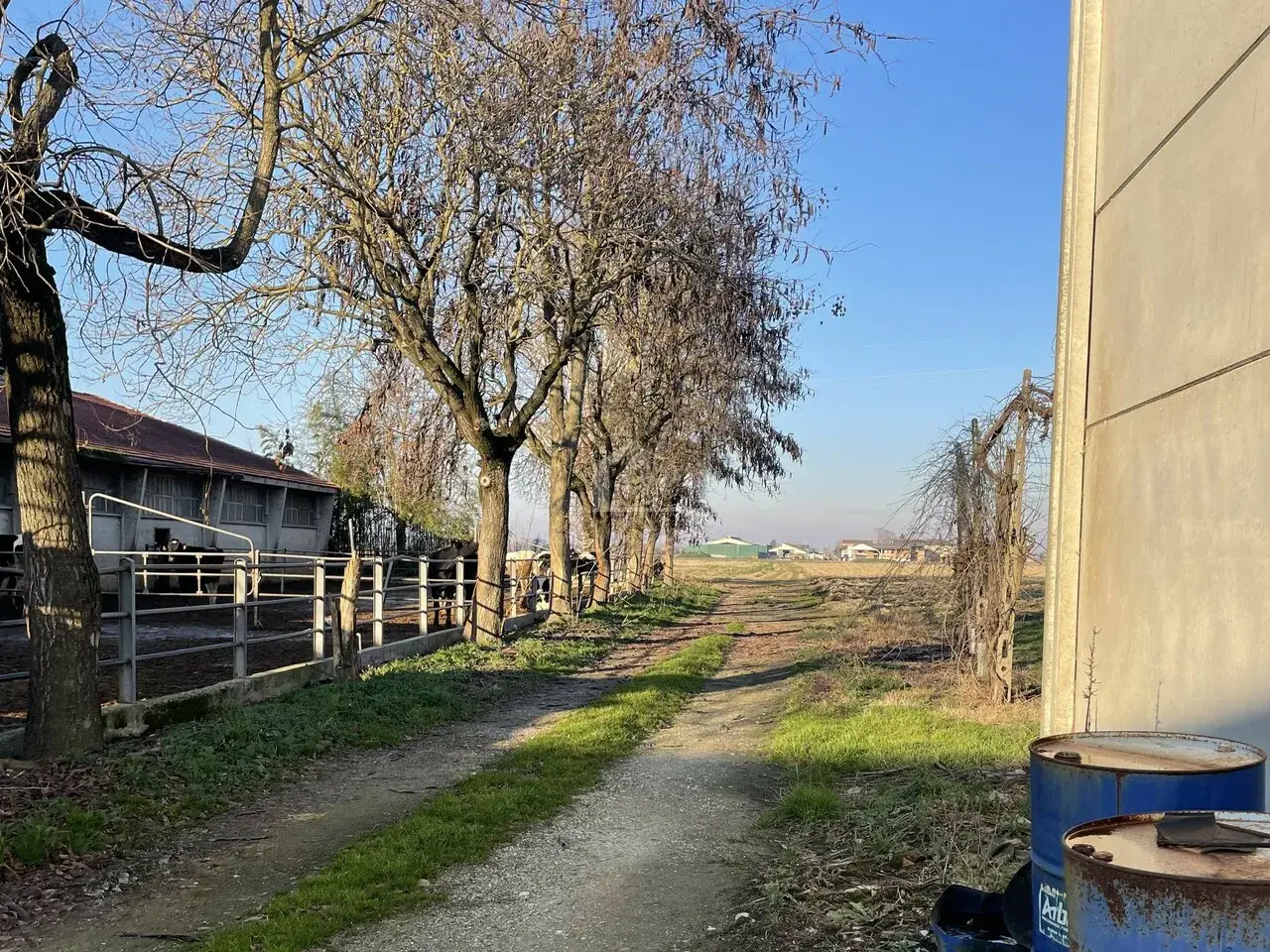 Azienda agricola in , Luzzara, {3} - Foto 1