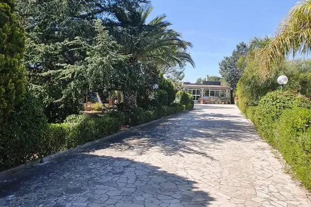 Villa, Bisceglie - Foto 1