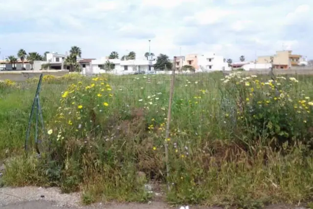 Terreno agricolo in Via Europa S.N.C., Racale - Foto 1