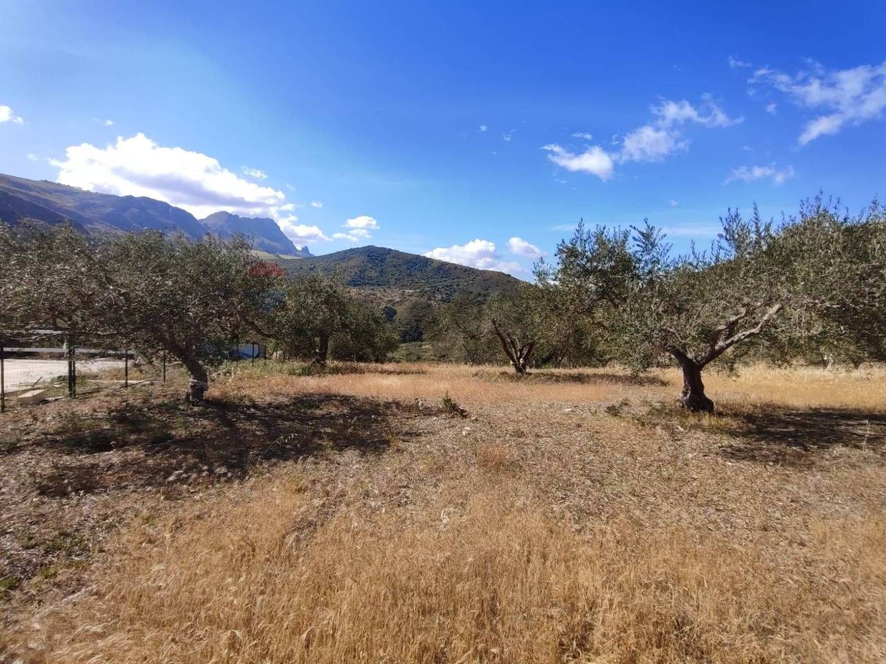 immagine annuncio 5 di 7