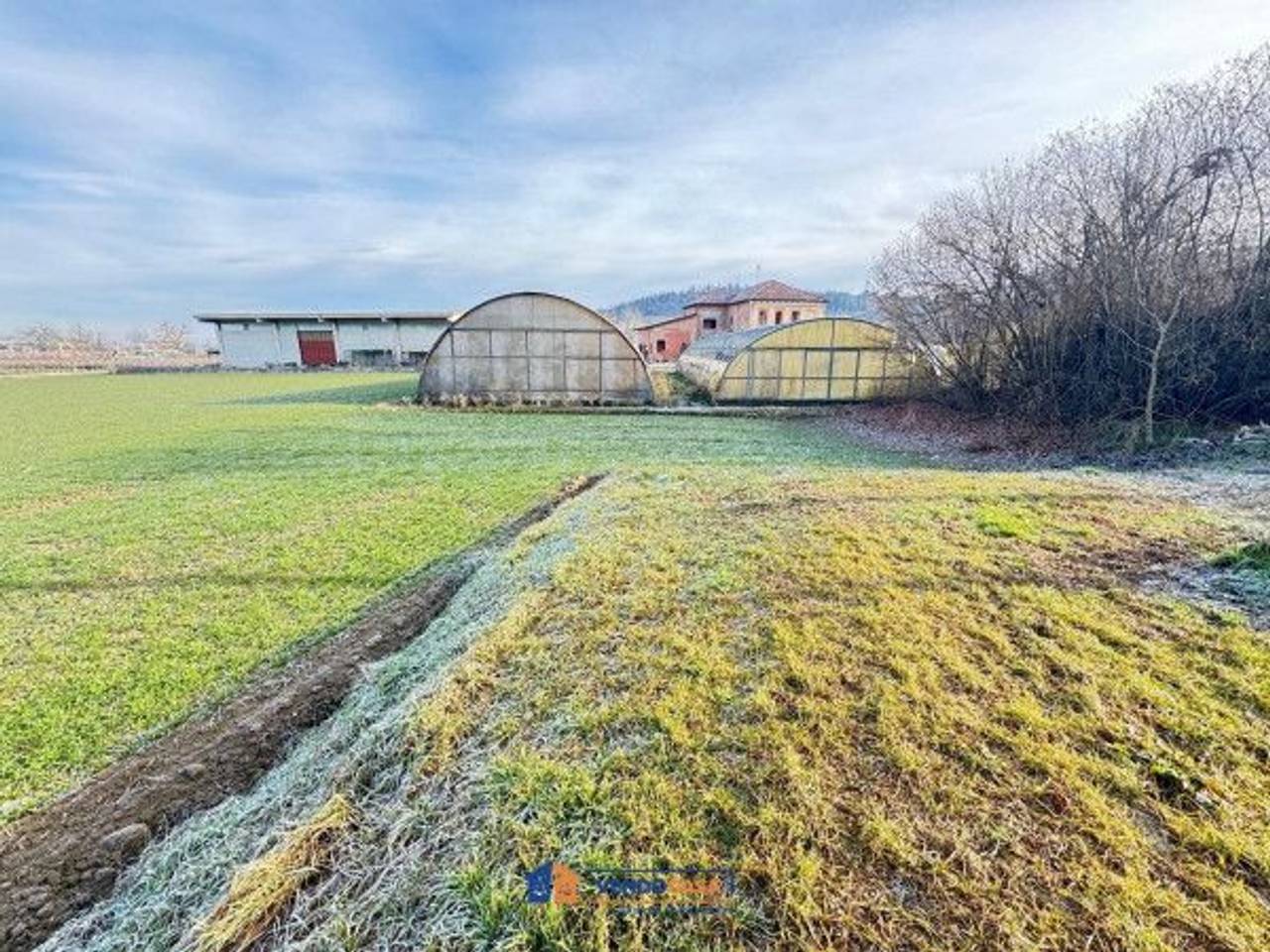 immagine annuncio 2 di 9