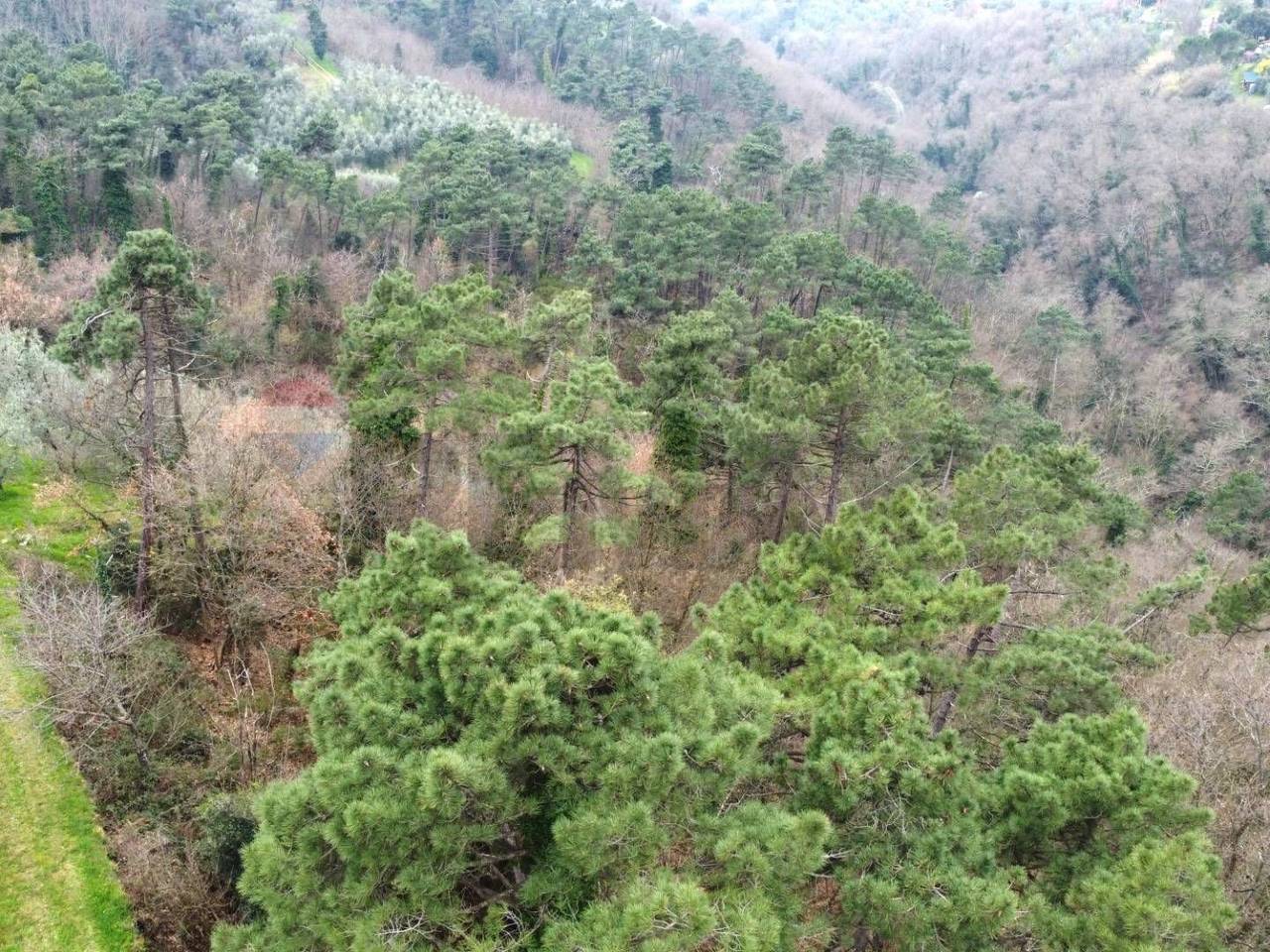 immagine annuncio 9 di 13