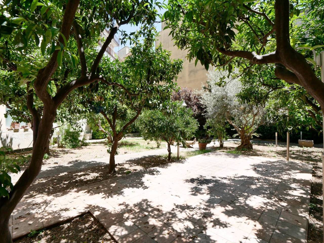 immagine annuncio 4 di 7