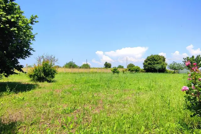 Agrargrundstück in Via Siracusa, Nettuno - Foto 1