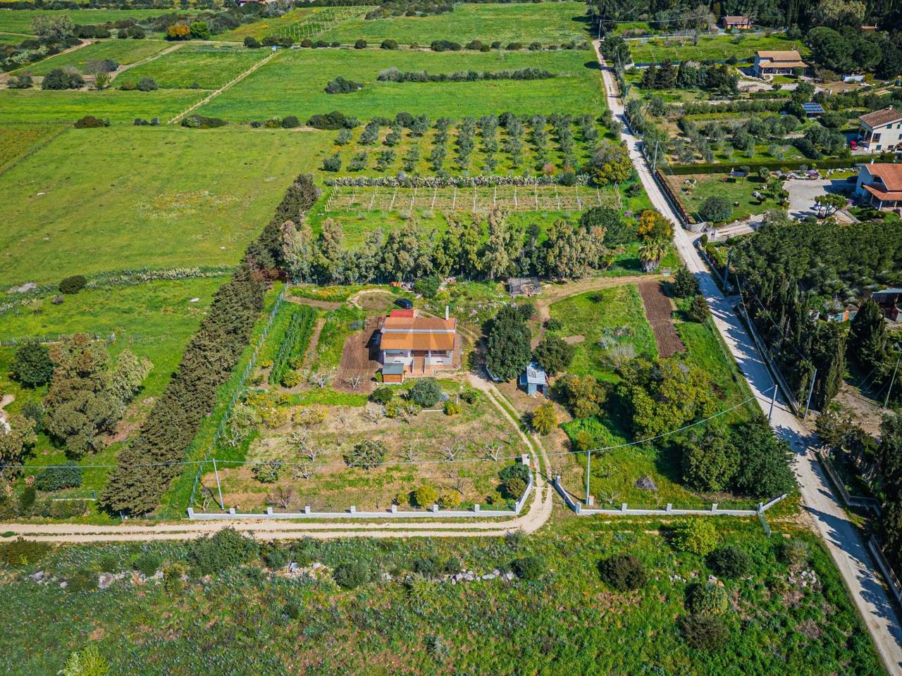 immagine annuncio 13 di 15