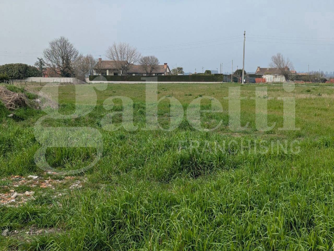 immagine annuncio 3 di 8