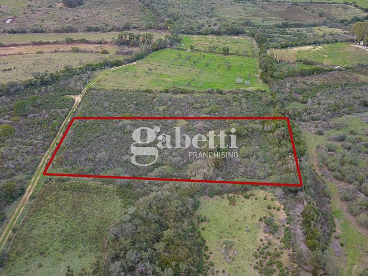 immagine annuncio 4 di 10