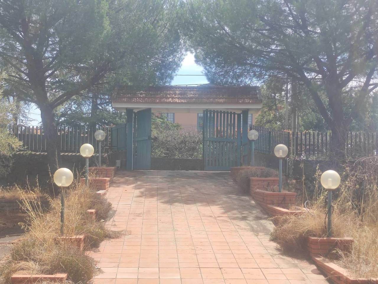 immagine annuncio 5 di 12