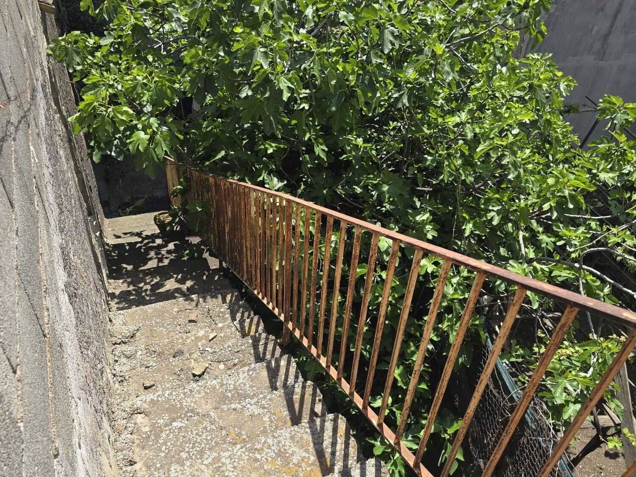 immagine annuncio 10 di 14