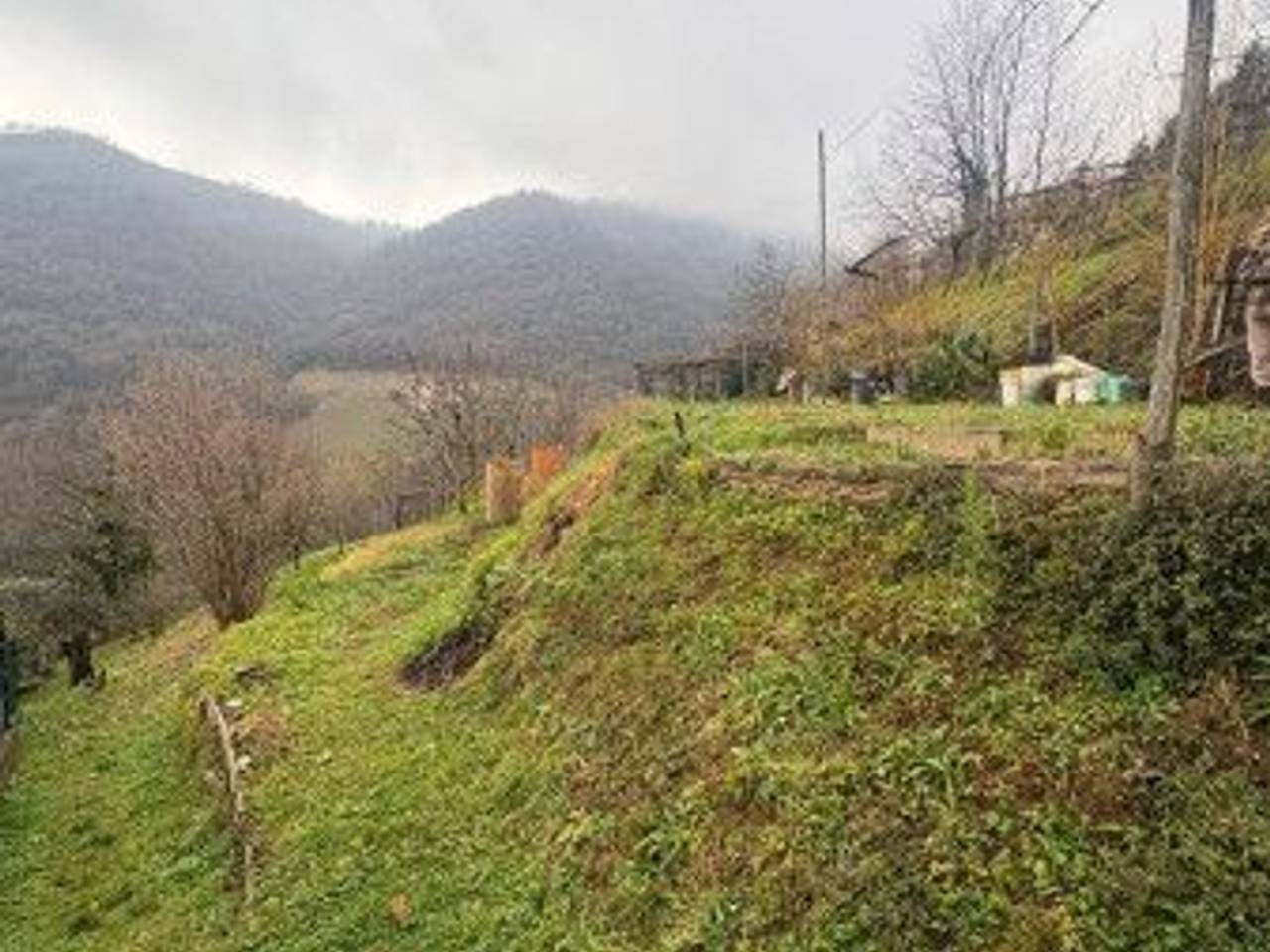 immagine annuncio 6 di 8