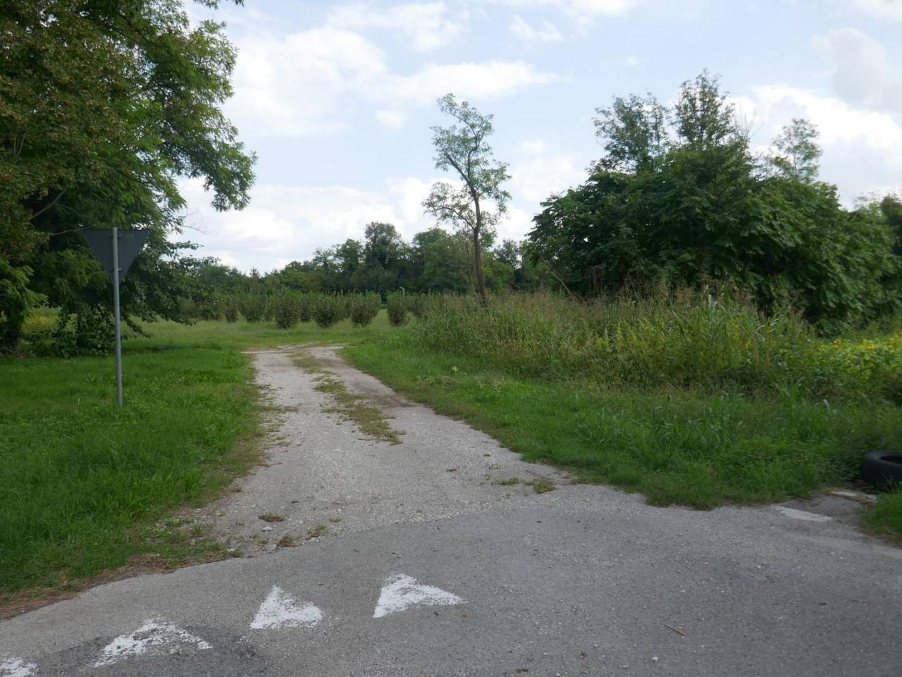 immagine annuncio 2 di 4