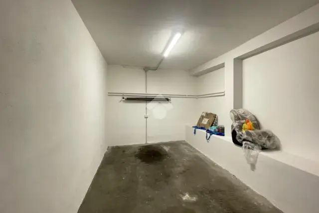 insertion image